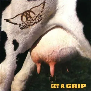 Get a Grip  cover art