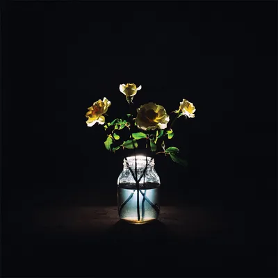 Renewal cover art