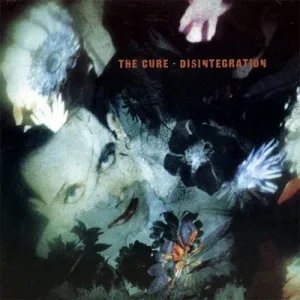 Disintegration cover art
