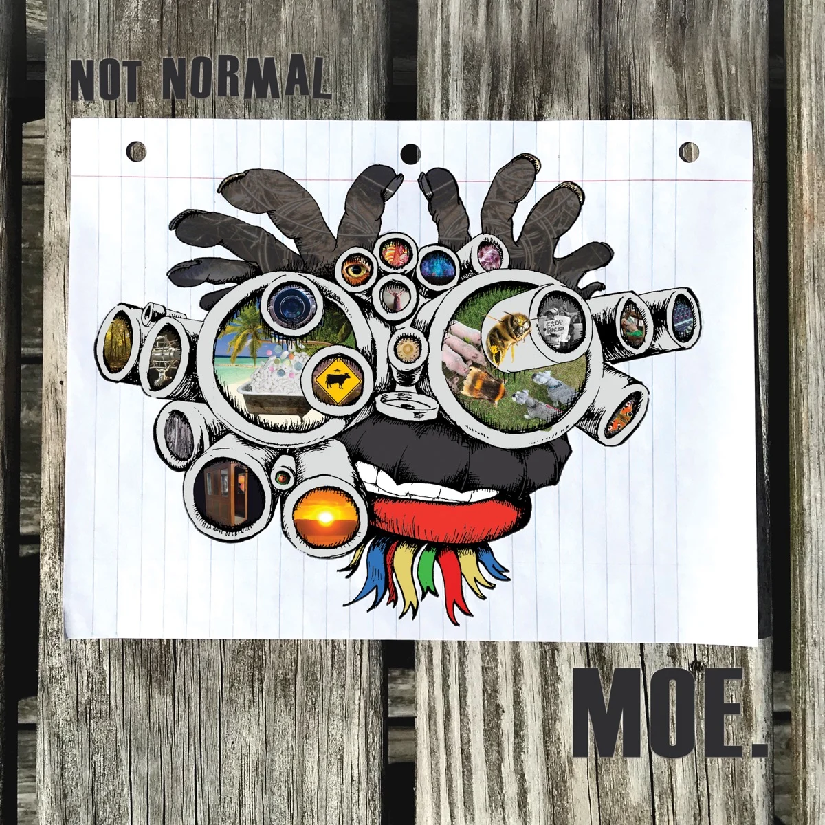 Not Normal cover art