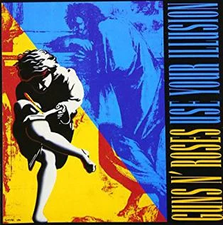 Use Your Illusion cover art