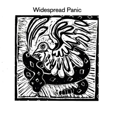 Widespread Panic cover art