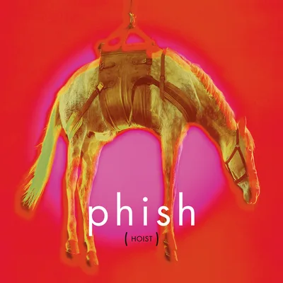 Hoist cover art