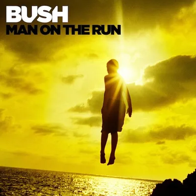 Man on the Run cover art