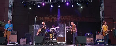 Gin Blossoms