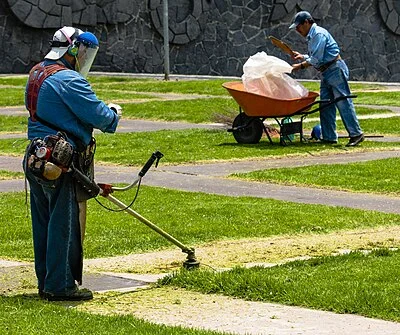 Weedeater
