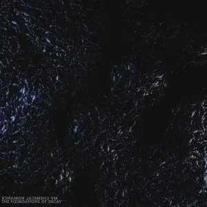 The Foundations of Decay cover art