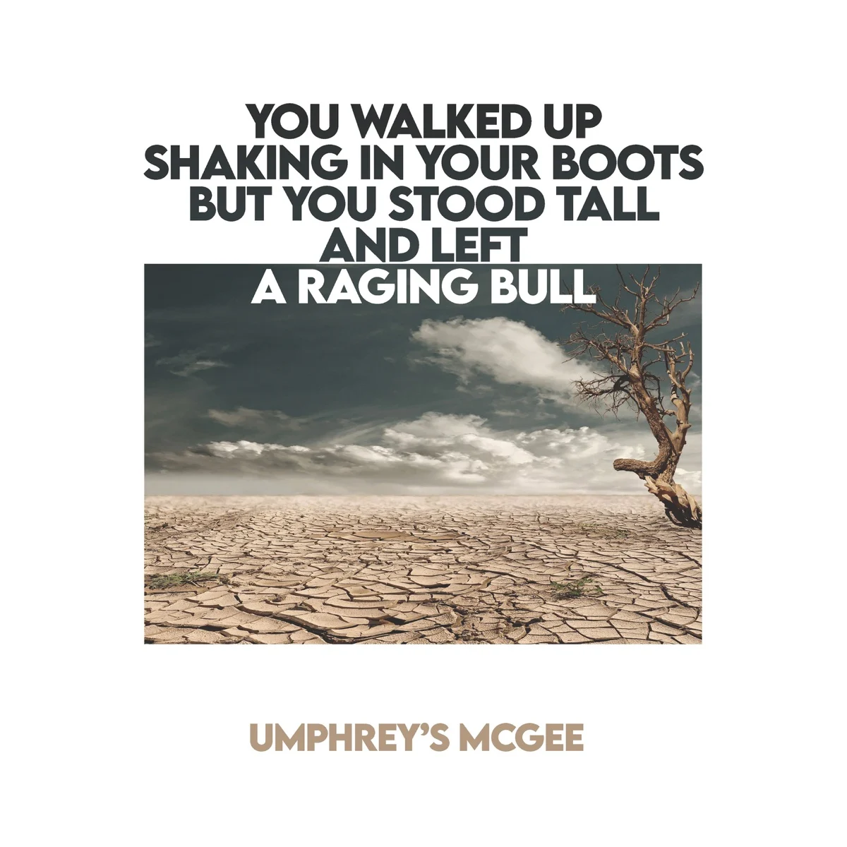 You Walked Up Shaking in Your Boots But You Stood Tall and Left a Raging Bull cover art
