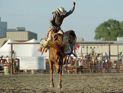 Bronco