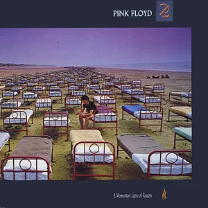 A Momentary Lapse of Reason cover art