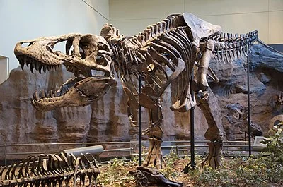 T. Rex