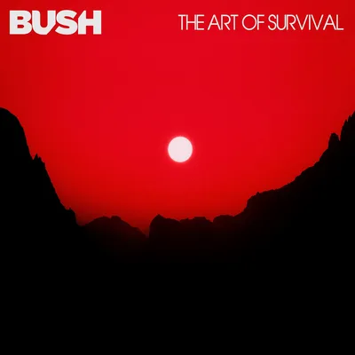The Art of Survival cover art