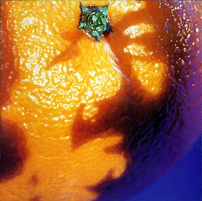 A Picture of Nectar cover art