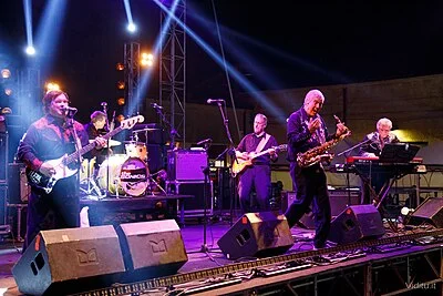 The Sonics