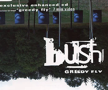 Greedy Fly cover art
