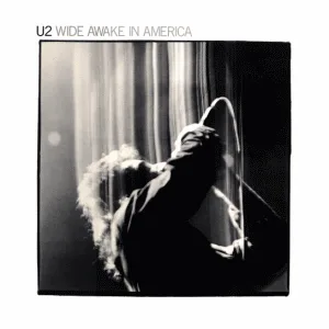 Wide Awake in America cover art