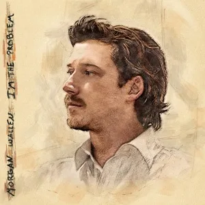 I'm the Problem cover art