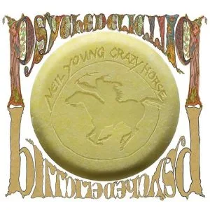Psychedelic Pill cover art