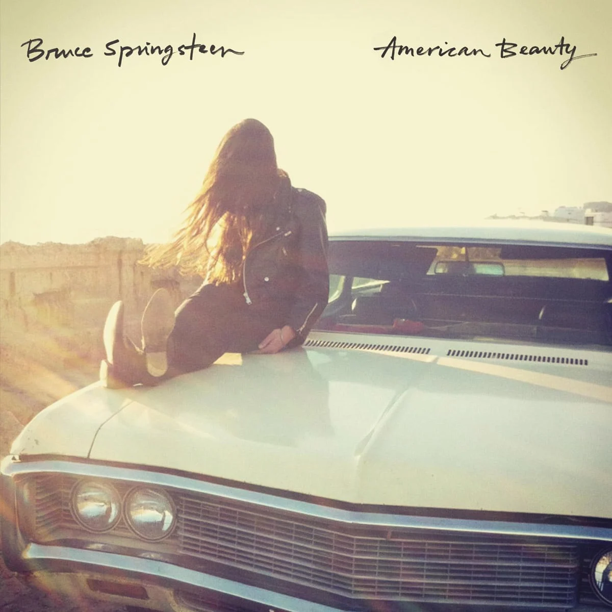American Beauty[71] cover art